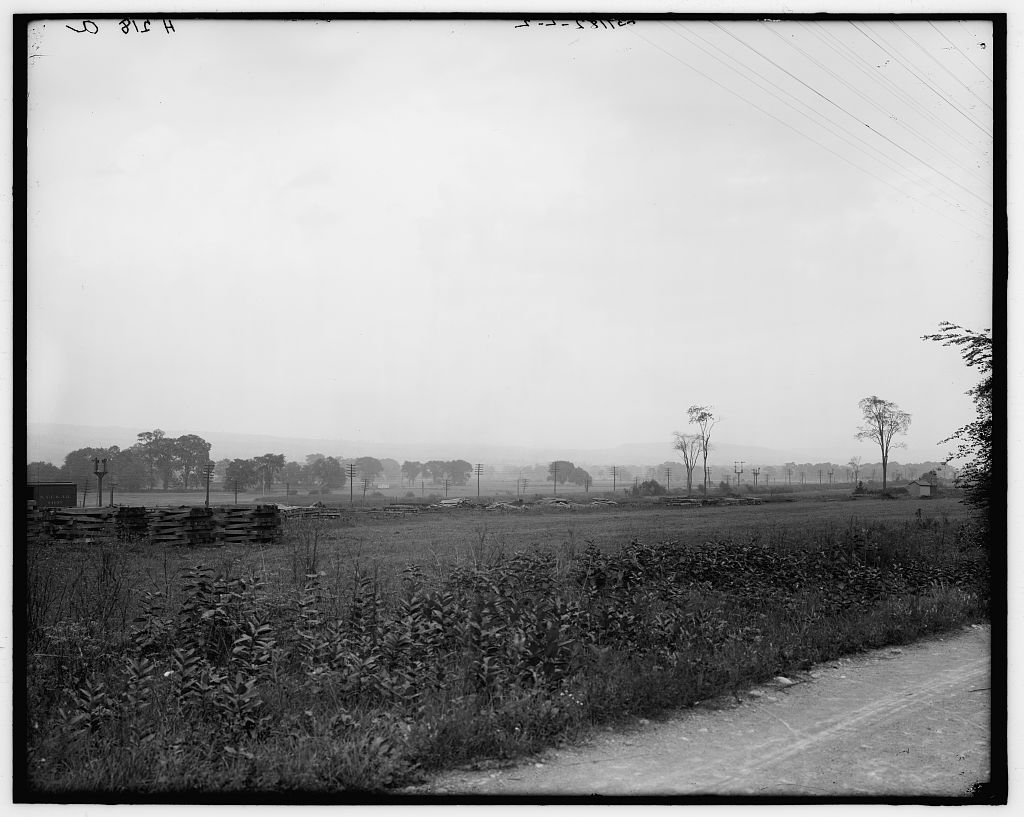 A wide, flat valley landscape with telegraph poles, scattered trees and stacked lumber under a hazy sky, a dirt road in the foreground.